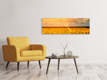 Leinwandbild Panorama Goldenes Licht für Sonnenblumen