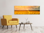 Leinwandbild Panorama Goldenes Licht für Sonnenblumen