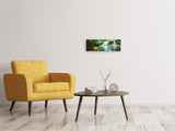 Leinwandbild Panorama Element Wasser