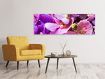 Leinwandbild Panorama Im Orchideenparadies