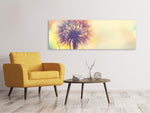 Leinwandbild Panorama Die Pusteblume im Licht