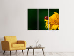 Leinwandbild 3-teilig Marienkäfer auf der Sonnenblume