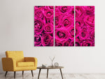 Leinwandbild 3-teilig Rosenblüten in pink