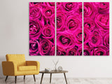 Leinwandbild 3-teilig Rosenblüten in pink