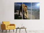 Leinwandbild 3-teilig Eine Löwin am Strand