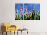 Leinwandbild 3-teilig Tulpen ragen zum Himmel