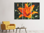 Leinwandbild 3-teilig Lilien Blüte in orange XL