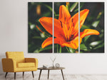 Leinwandbild 3-teilig Lilien Blüte in orange XL