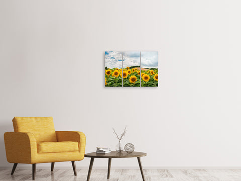 Leinwandbild 3-teilig Landschaft mit Sonnenblumen