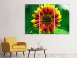 Leinwandbild 3-teilig Farbenprächtige Sonnenblume