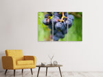Leinwandbild 3-teilig Weintrauben