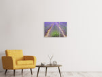 Leinwandbild 3-teilig Das Lavendel Feld