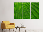 Leinwandbild 3-teilig Palm Streifen 1