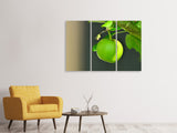 Leinwandbild 3-teilig Grüner Apfel