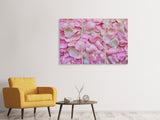 Leinwandbild 3-teilig Rosenblüten in rosa