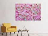 Leinwandbild 3-teilig Rosenblüten in rosa