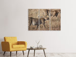 Leinwandbild 3-teilig 2 Leoparden