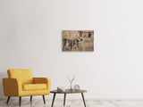 Leinwandbild 3-teilig 2 Leoparden