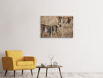 Leinwandbild 3-teilig 2 Leoparden
