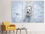 Leinwandbild 3-teilig Hunde Freude im Schnee