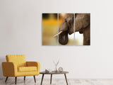 Leinwandbild 3-teilig  Elefant Close up