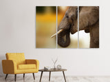 Leinwandbild 3-teilig  Elefant Close up