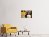 Leinwandbild 3-teilig  Elefant Close up