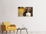 Leinwandbild 3-teilig  Elefant Close up
