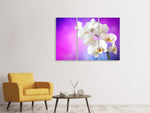 Leinwandbild 3-teilig Flower Power Orchidee