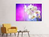 Leinwandbild 3-teilig Flower Power Orchidee