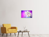 Leinwandbild 3-teilig Flower Power Orchidee