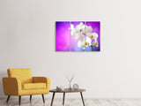 Leinwandbild 3-teilig Flower Power Orchidee