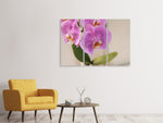 Leinwandbild 3-teilig Orchideen mit lila Blüten in XL