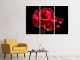 Leinwandbild 3-teilig Die Blume der Liebe