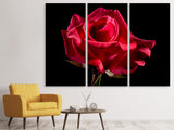 Leinwandbild 3-teilig Die Blume der Liebe