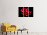 Leinwandbild 3-teilig Die Blume der Liebe
