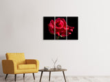 Leinwandbild 3-teilig Die Blume der Liebe