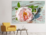 Leinwandbild 3-teilig Wildrose in rosa