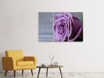 Leinwandbild 3-teilig Rose in Lila XXL