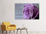 Leinwandbild 3-teilig Rose in Lila XXL