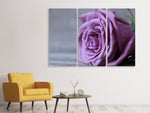 Leinwandbild 3-teilig Rose in Lila XXL