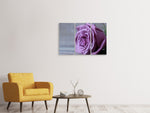 Leinwandbild 3-teilig Rose in Lila XXL