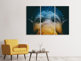 Leinwandbild 3-teilig Close up Ganesha