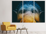 Leinwandbild 3-teilig Close up Ganesha