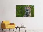 Leinwandbild 3-teilig Wachsamer Gepard