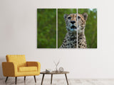 Leinwandbild 3-teilig Wachsamer Gepard