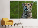 Leinwandbild 3-teilig Wachsamer Gepard