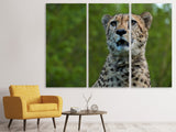 Leinwandbild 3-teilig Wachsamer Gepard