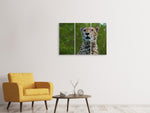 Leinwandbild 3-teilig Wachsamer Gepard