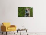 Leinwandbild 3-teilig Wachsamer Gepard
